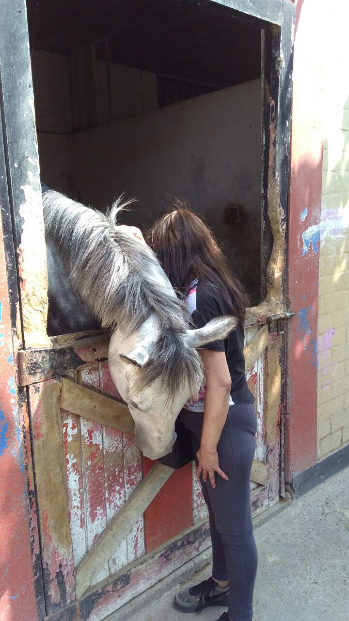 Los chicos de la Casa de reposo reciben terapias con caballos
