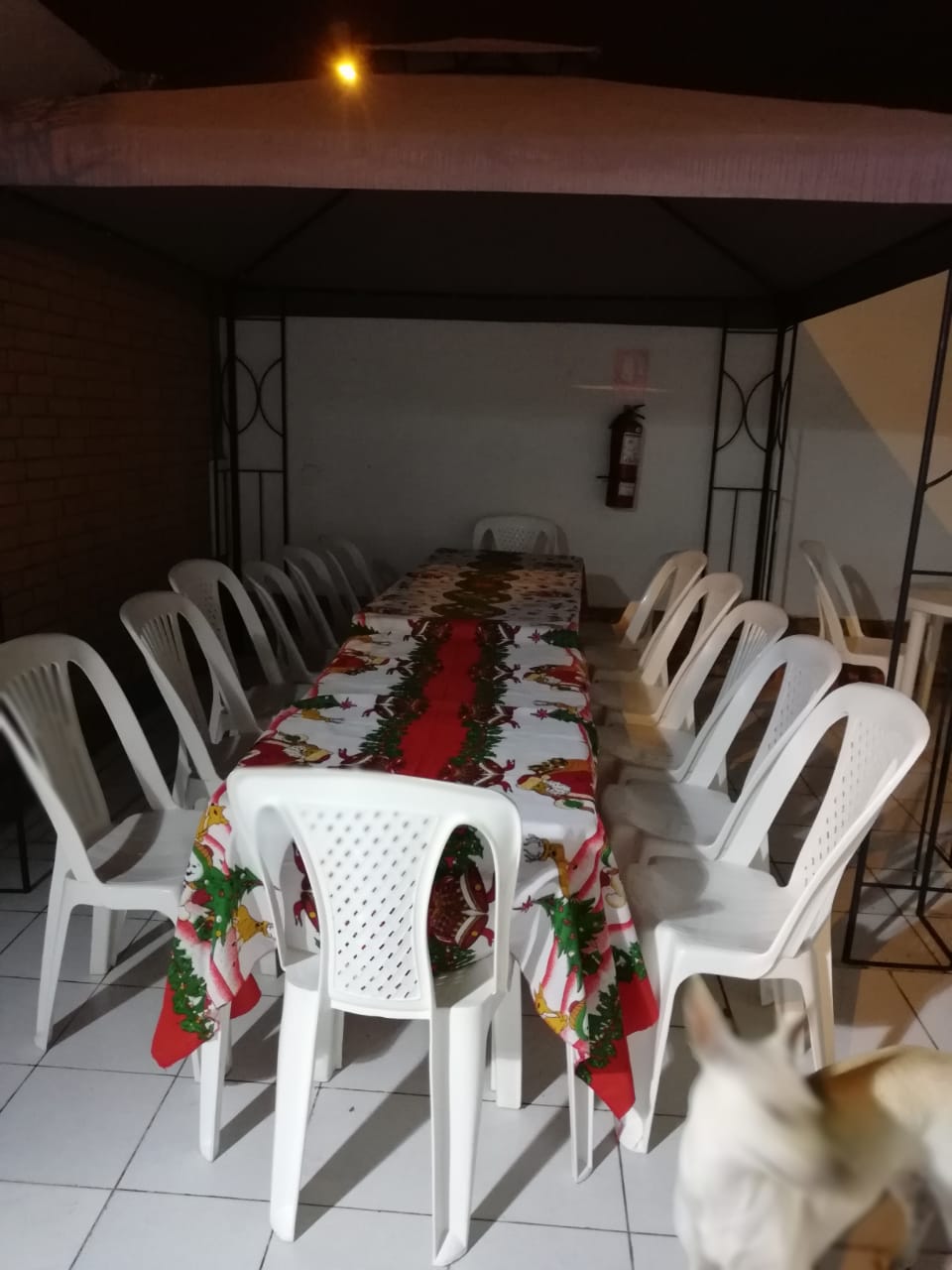 Así celebramos la Navidad en nuestra casa de reposo